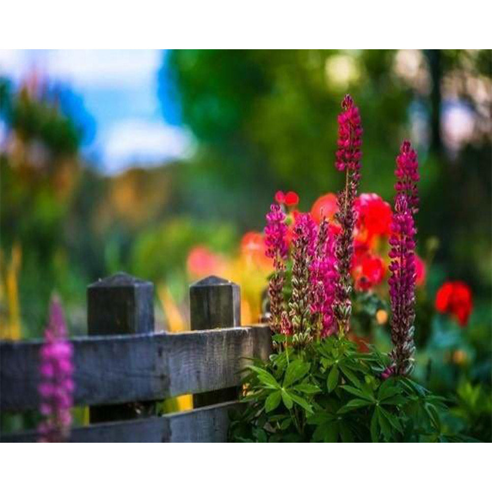 paint by numbers | Flower along the Railing | advanced flowers | FiguredArt