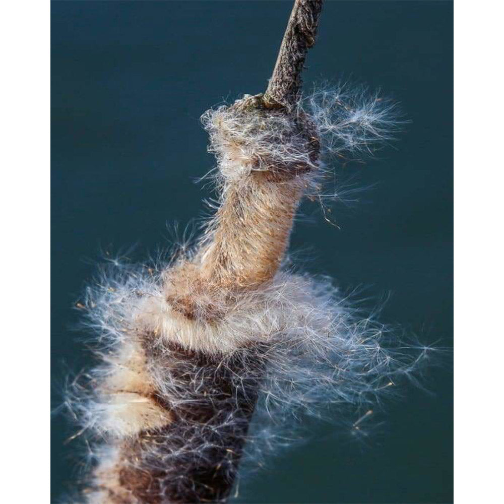 paint by numbers | Rope in the Sea | abstract intermediate | FiguredArt