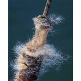 paint by numbers | Rope in the Sea | abstract intermediate | FiguredArt