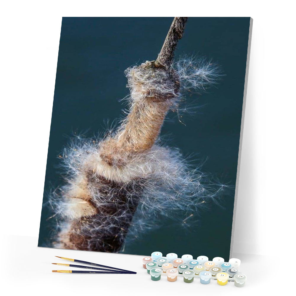 paint by numbers | Rope in the Sea | abstract intermediate | FiguredArt