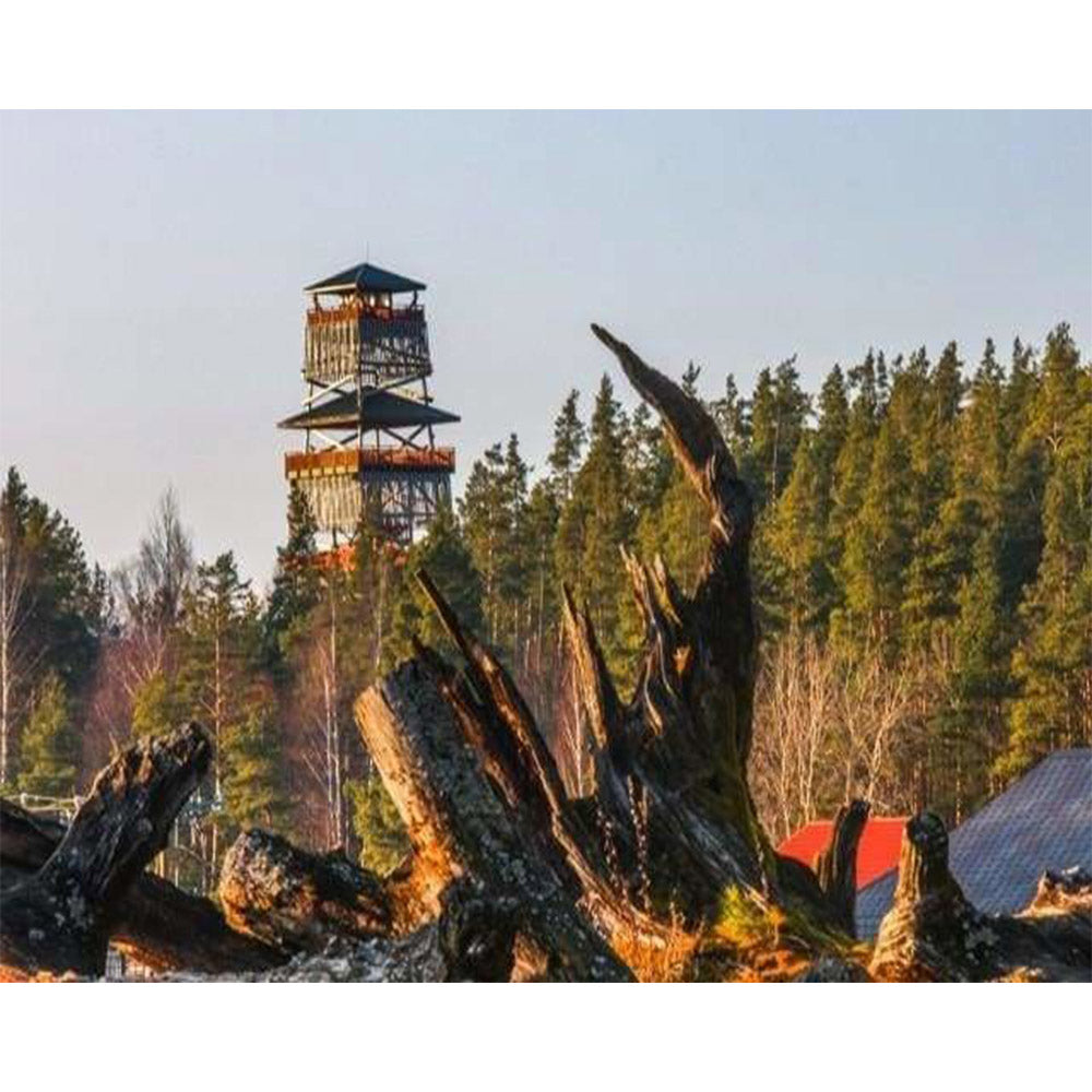 paint by numbers | Tower in the Forest | advanced landscapes | FiguredArt