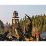 paint by numbers | Tower in the Forest | advanced landscapes | FiguredArt