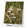 paint by numbers | Marguerites in the garden | advanced flowers | FiguredArt