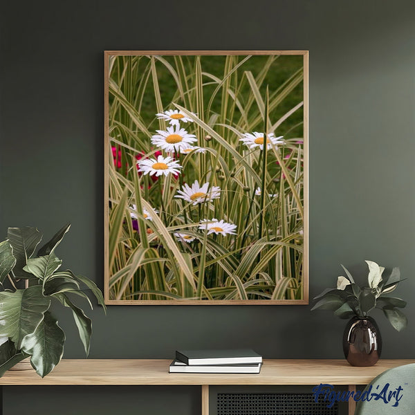 paint by numbers | Marguerites in the garden | advanced flowers | FiguredArt