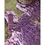 paint by numbers | Beautiful Lilac | advanced flowers | FiguredArt