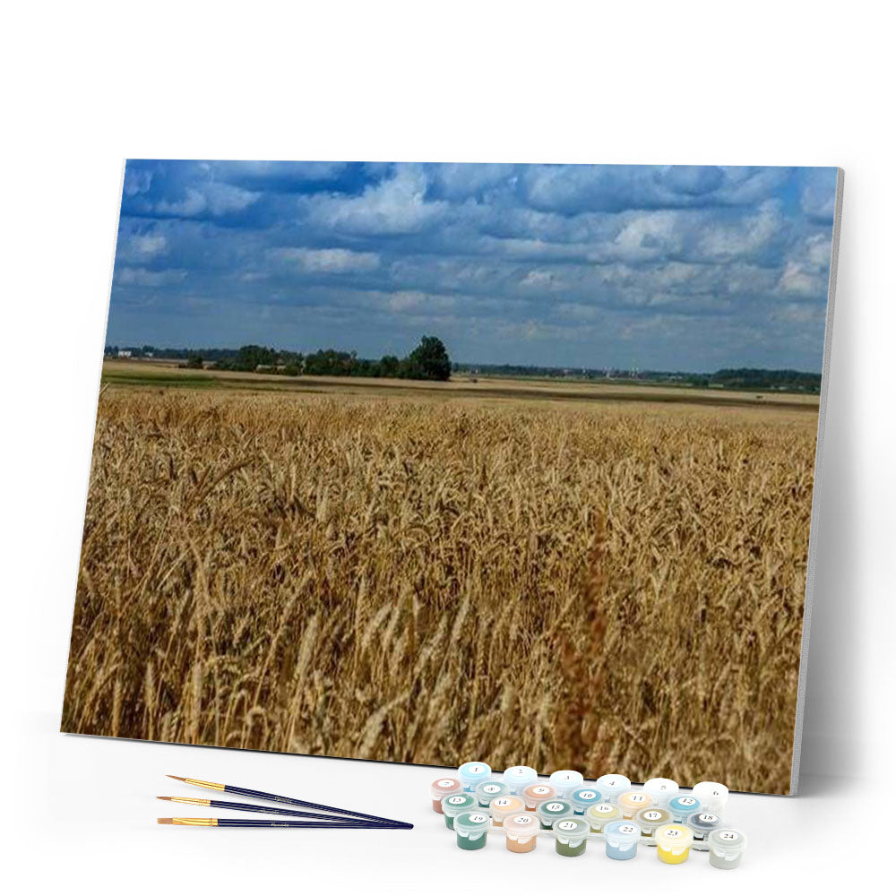 paint by numbers | Countryside field | advanced landscapes | FiguredArt
