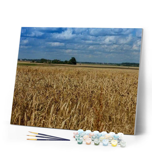 paint by numbers | Countryside field | advanced landscapes | FiguredArt