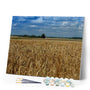 paint by numbers | Countryside field | advanced landscapes | FiguredArt