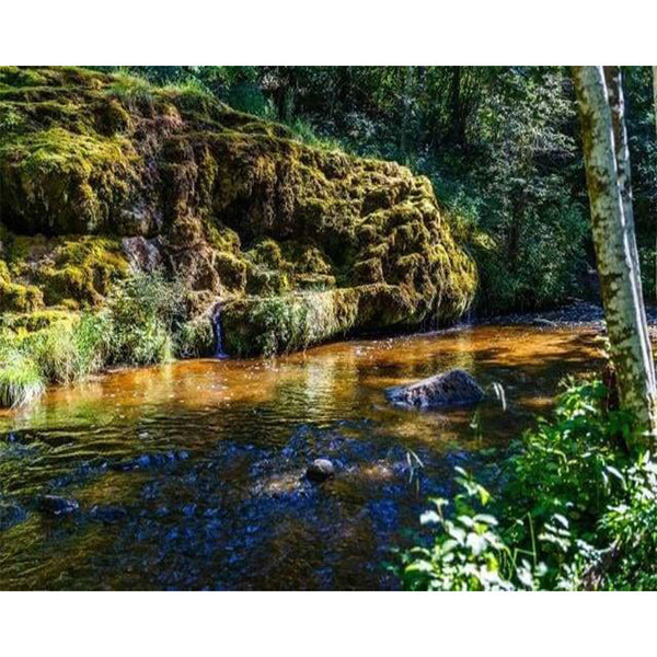 paint by numbers | Fishing River | advanced landscapes mountains | FiguredArt