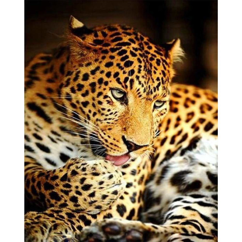 paint by numbers | Leopard | animals intermediate leopards | FiguredArt