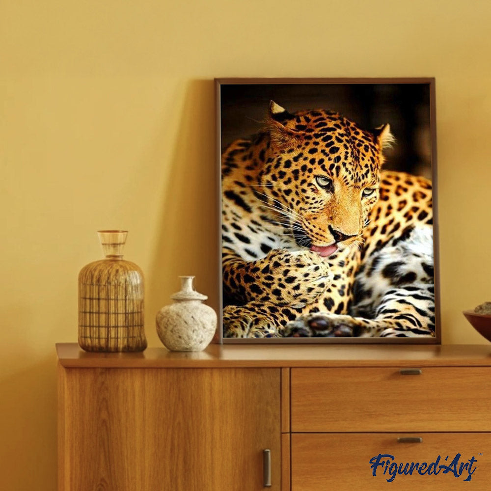 paint by numbers | Leopard | animals intermediate leopards | FiguredArt