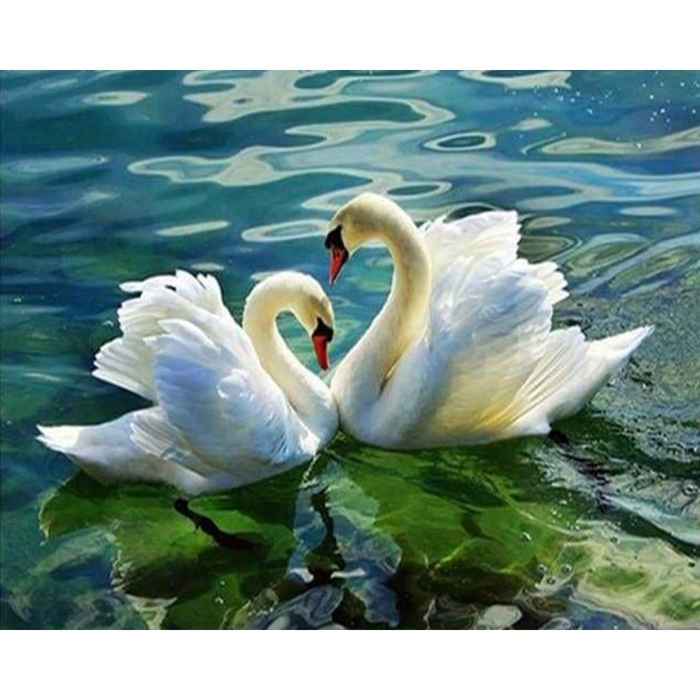 paint by numbers | Swan Couple | animals birds intermediate swans | FiguredArt