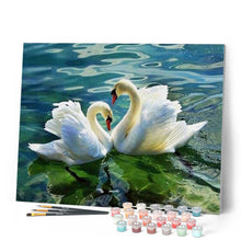 Load image into Gallery viewer, paint by numbers | Swan Couple | animals birds intermediate swans | FiguredArt