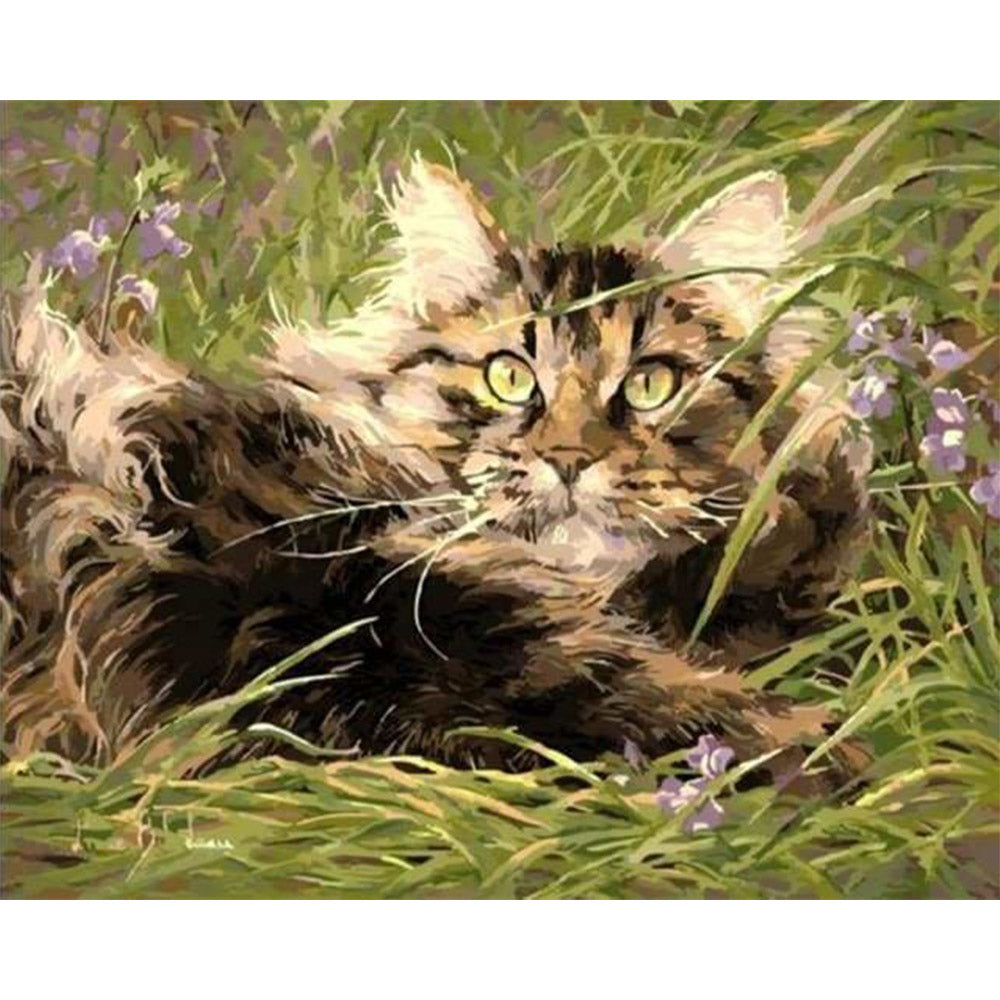 paint by numbers | Cat In The Grass | animals cats easy | FiguredArt