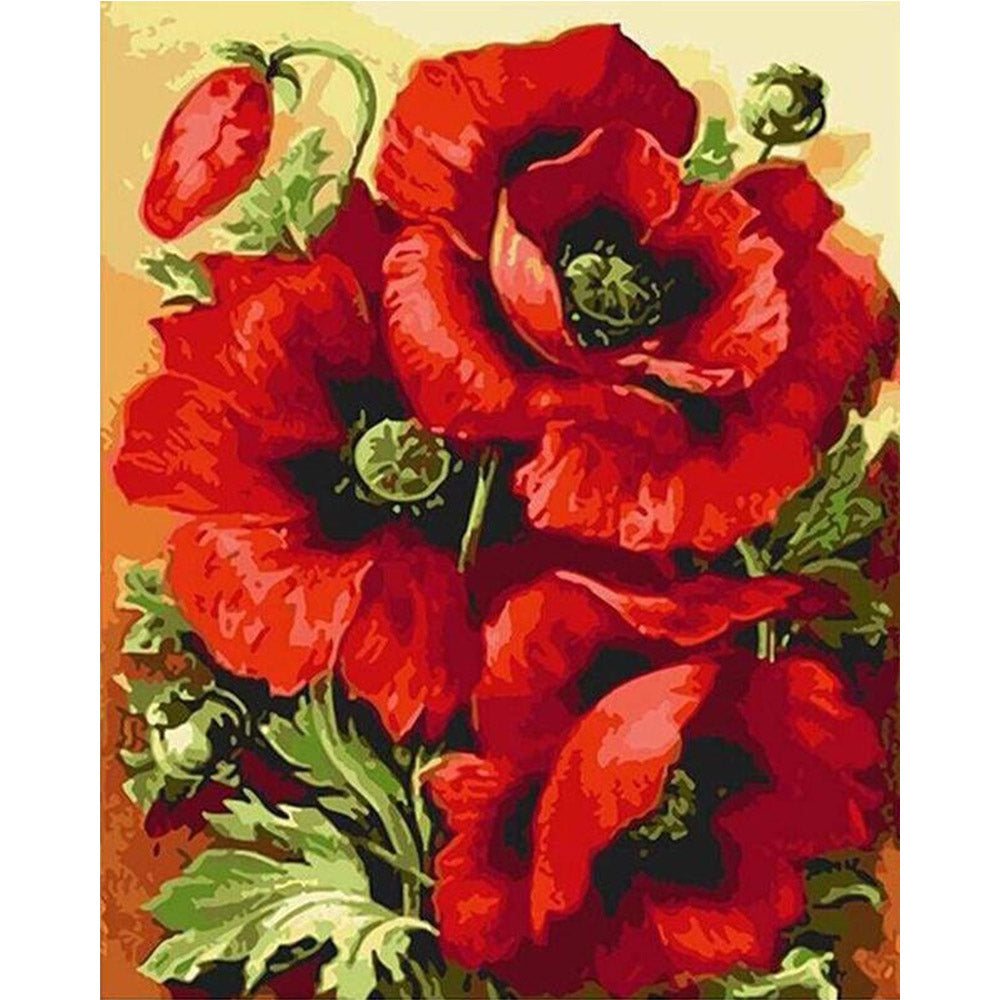 paint by numbers | Wonderful Red Flowers | flowers intermediate | FiguredArt