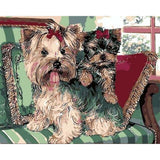 paint by numbers | Yorkshire terriers on Sofa | animals dogs intermediate | FiguredArt