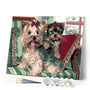 paint by numbers | Yorkshire terriers on Sofa | animals dogs intermediate | FiguredArt