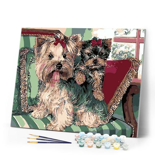 paint by numbers | Yorkshire terriers on Sofa | animals dogs intermediate | FiguredArt