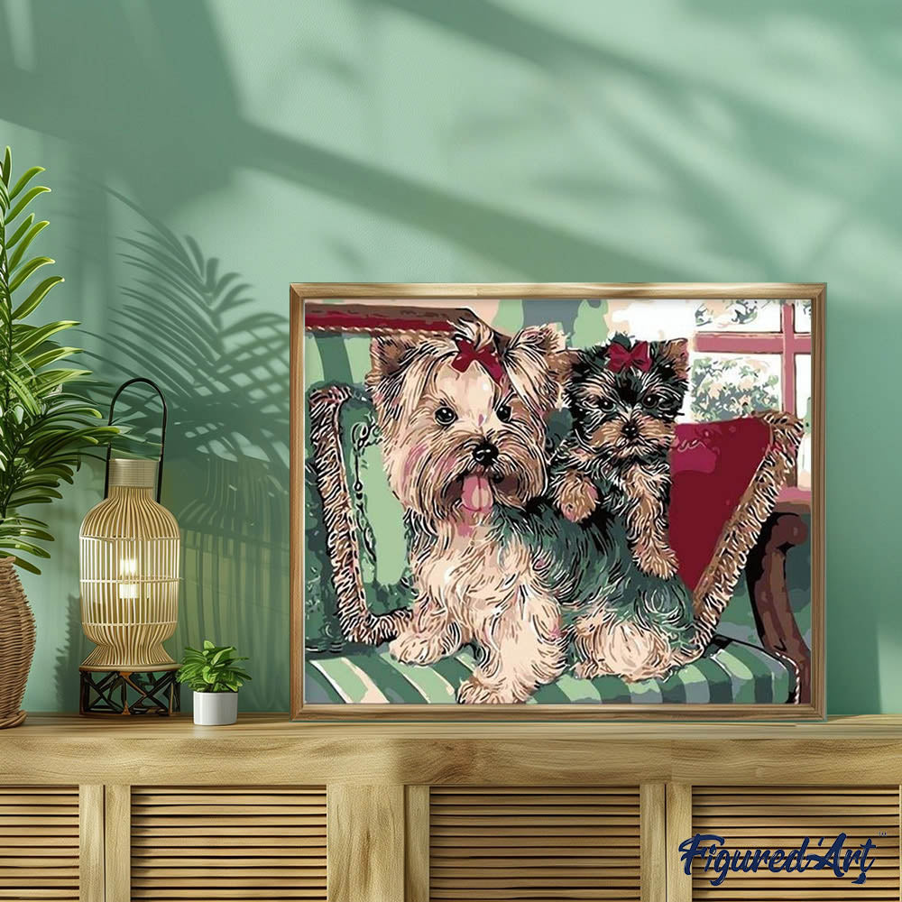 paint by numbers | Yorkshire terriers on Sofa | animals dogs intermediate | FiguredArt