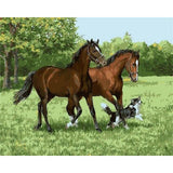 paint by numbers | Two Horses And Dog | animals dogs horses intermediate | FiguredArt