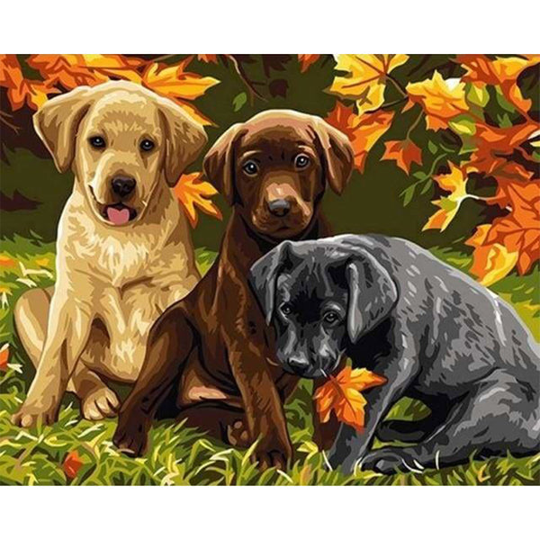 paint by numbers | Three Dogs | animals dogs intermediate | FiguredArt