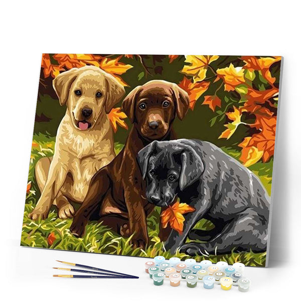 paint by numbers | Three Dogs | animals dogs intermediate | FiguredArt