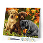 paint by numbers | Three Dogs | animals dogs intermediate | FiguredArt