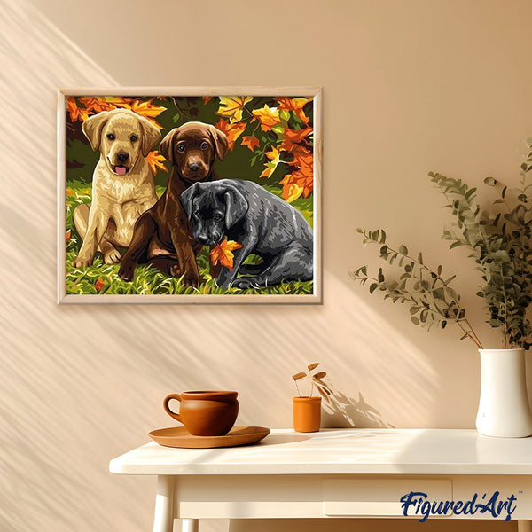 paint by numbers | Three Dogs | animals dogs intermediate | FiguredArt