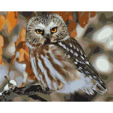 Load image into Gallery viewer, paint by numbers | Gray Owl | animals intermediate owls | FiguredArt