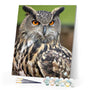 paint by numbers | Owl with Orange Eyes Portrait | advanced animals owls | FiguredArt