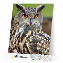 Load image into Gallery viewer, paint by numbers | Owl with Orange Eyes Portrait | advanced animals owls | FiguredArt