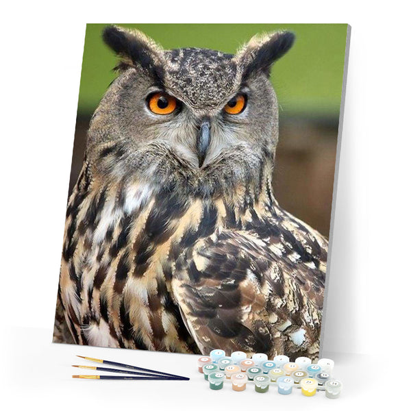 Owl Paint By Numbers Kit For Adults - 16x20 Inch DIY Oil Painting, Colorful Portrait With Bright Orange Eyes & Feathers