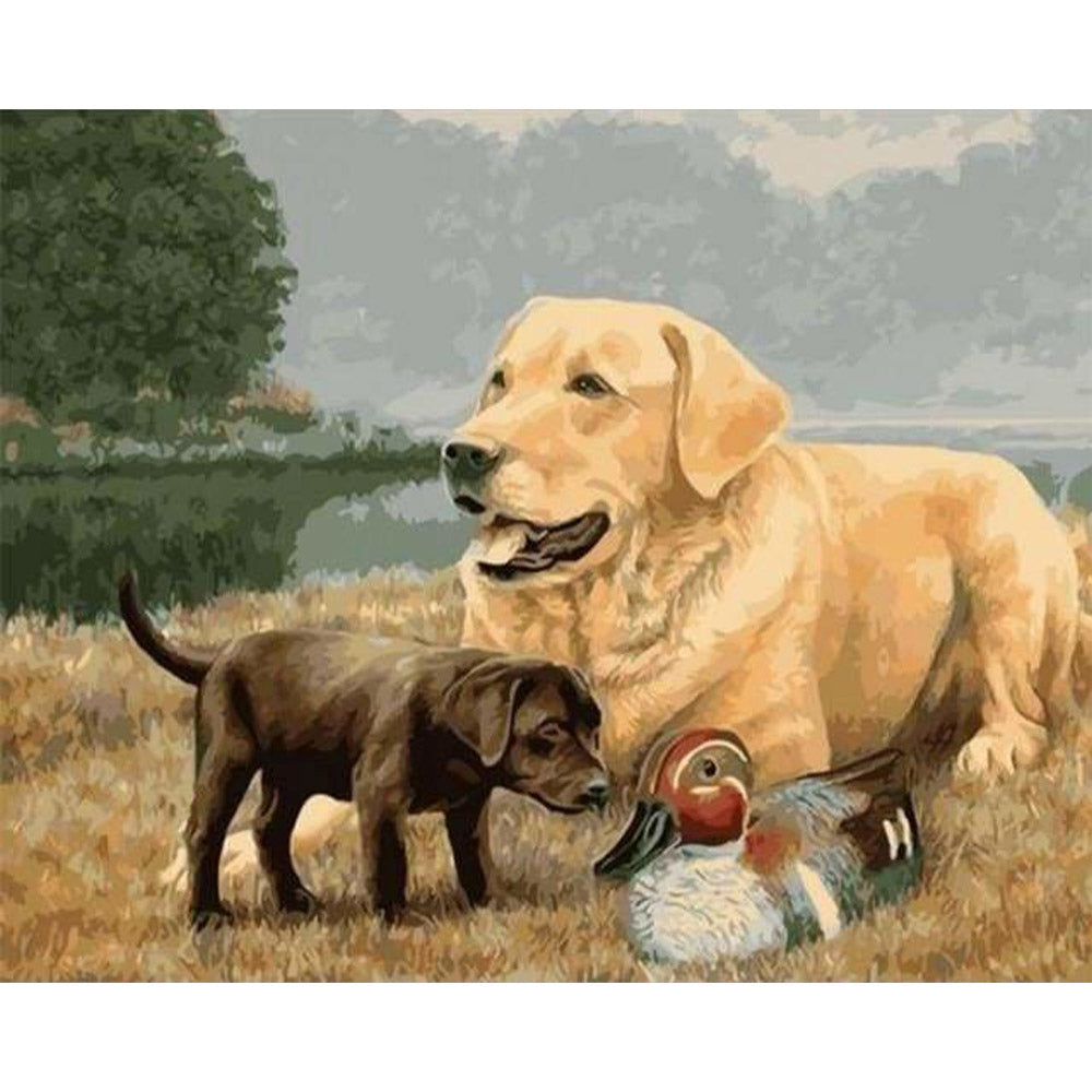 paint by numbers | Golden Retriever Dog | animals dogs intermediate | FiguredArt