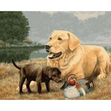 paint by numbers | Golden Retriever Dog | animals dogs intermediate | FiguredArt