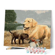 Load image into Gallery viewer, paint by numbers | Golden Retriever Dog | animals dogs intermediate | FiguredArt