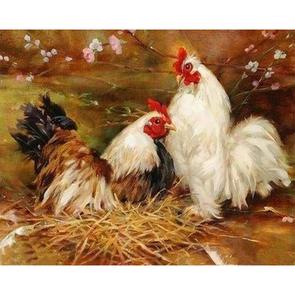 Paint by numbers | Hen and Rooster | animals advanced birds | Figured'Art
