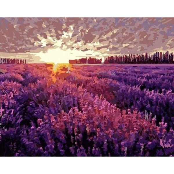 paint by numbers | Lavender Field | advanced flowers landscapes | FiguredArt