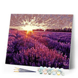 paint by numbers | Lavender Field | advanced flowers landscapes | FiguredArt