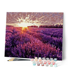 Load image into Gallery viewer, paint by numbers | Lavender Field | advanced flowers landscapes | FiguredArt
