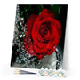 paint by numbers | Red Rose Fragrance | easy flowers | FiguredArt