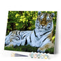 paint by numbers | Tiger Relaxing | animals intermediate tigers | FiguredArt