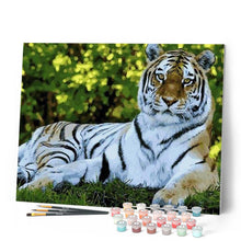 Load image into Gallery viewer, paint by numbers | Tiger Relaxing | animals intermediate tigers | FiguredArt
