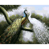paint by numbers | Loving Peacocks | animals intermediate peacocks | FiguredArt