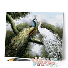 Load image into Gallery viewer, paint by numbers | Loving Peacocks | animals intermediate peacocks | FiguredArt