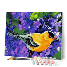 Load image into Gallery viewer, paint by numbers | Orange Bird | animals birds easy | FiguredArt