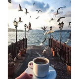 paint by numbers | Coffee and Seagulls at waterfront | intermediate landscapes | FiguredArt