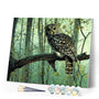 paint by numbers | Owl | animals intermediate owls | FiguredArt