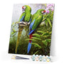paint by numbers | Green Parrots | animals birds intermediate parrots | FiguredArt
