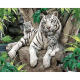 paint by numbers | White Tiger family | animals intermediate tigers | FiguredArt