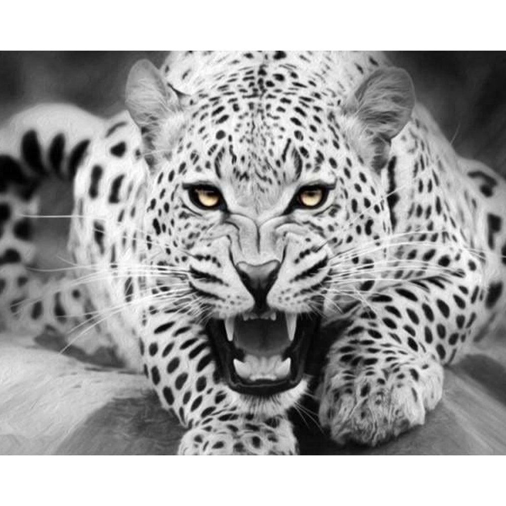paint by numbers | Leopard Black And White | animals intermediate leopards | FiguredArt